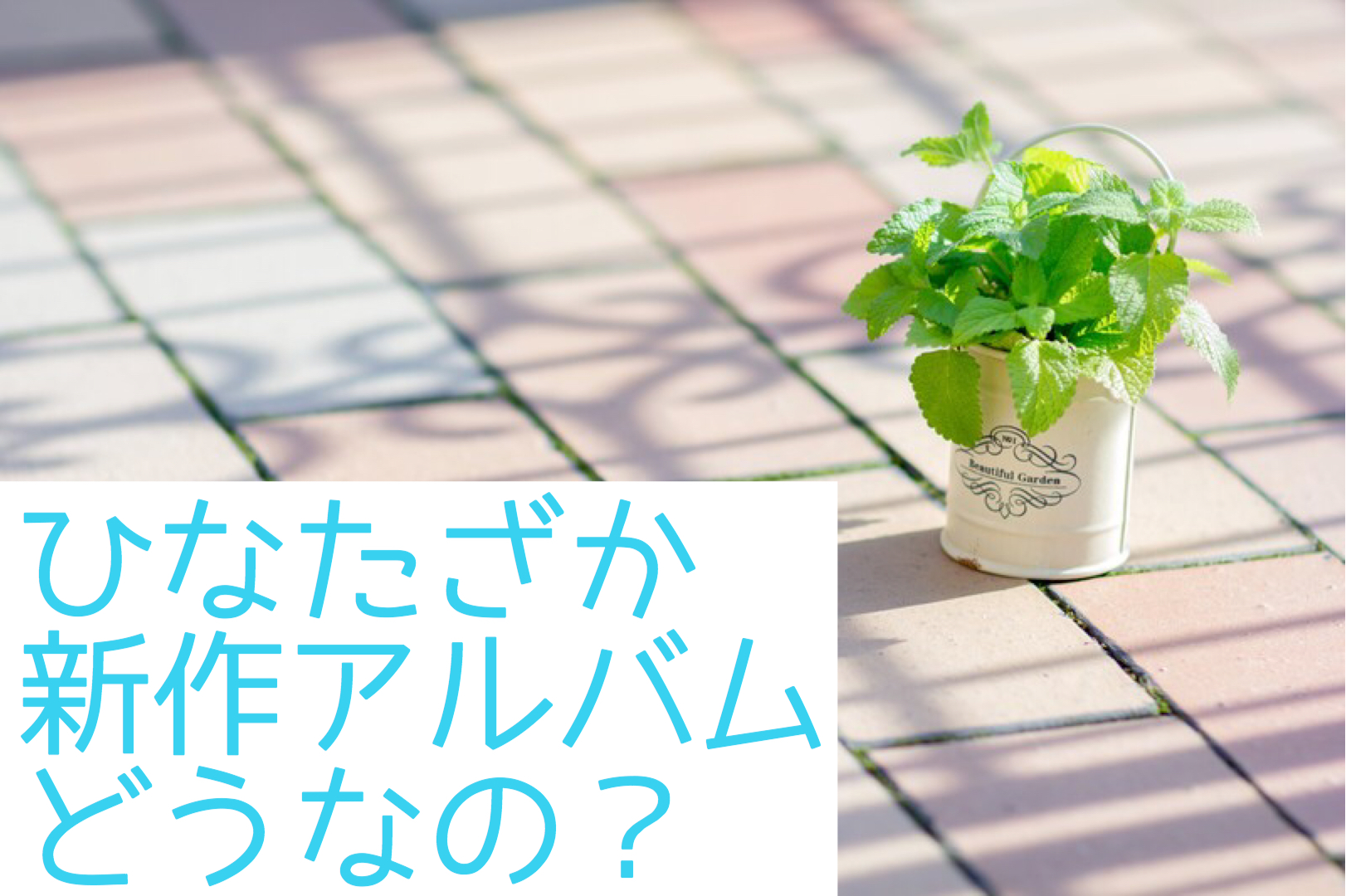 ファン以外の評判は?日向坂46の最新アルバムが発売!