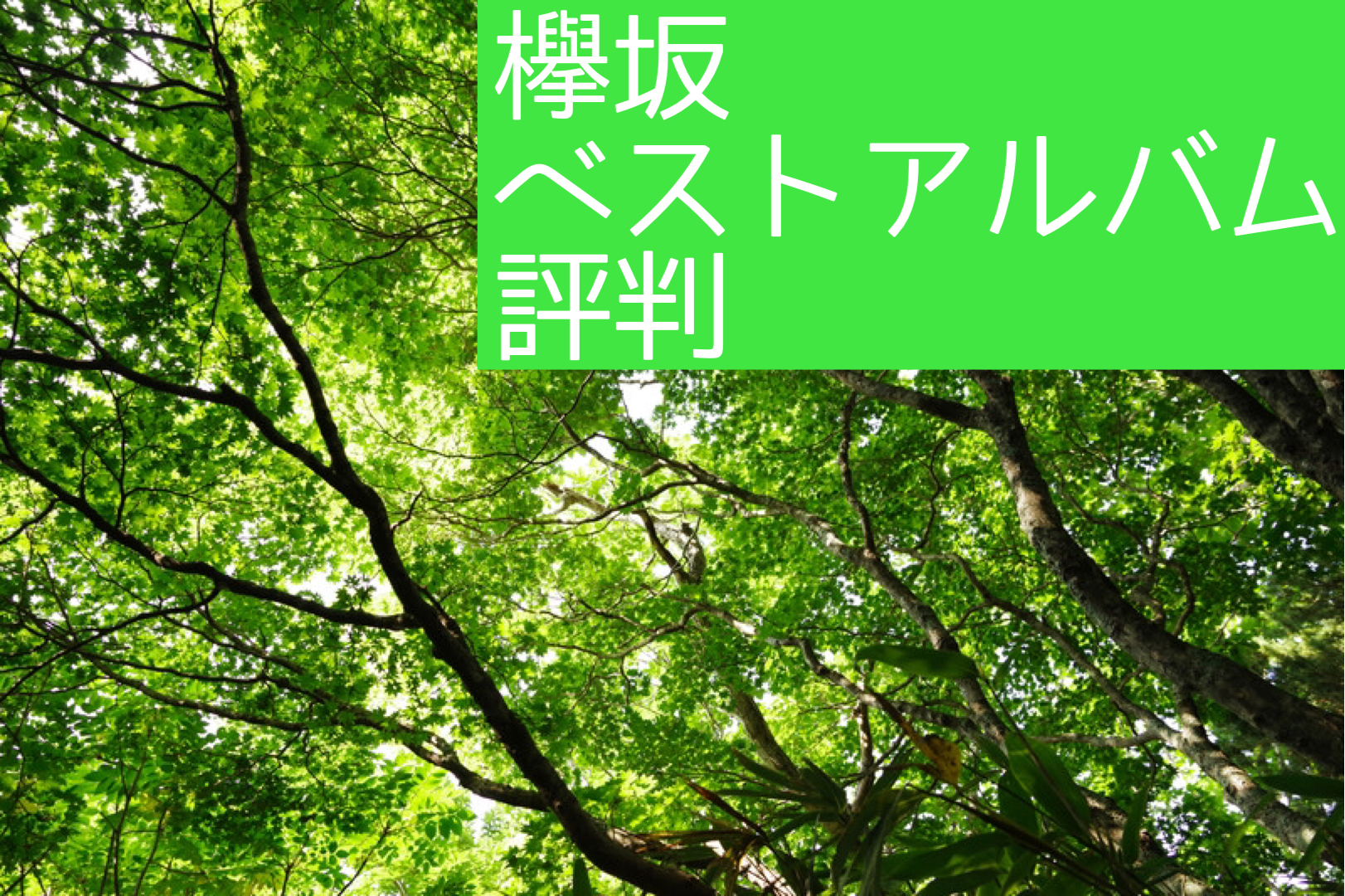 ファン以外の評判は?欅坂46のベストアルバムが発売!【櫻坂】