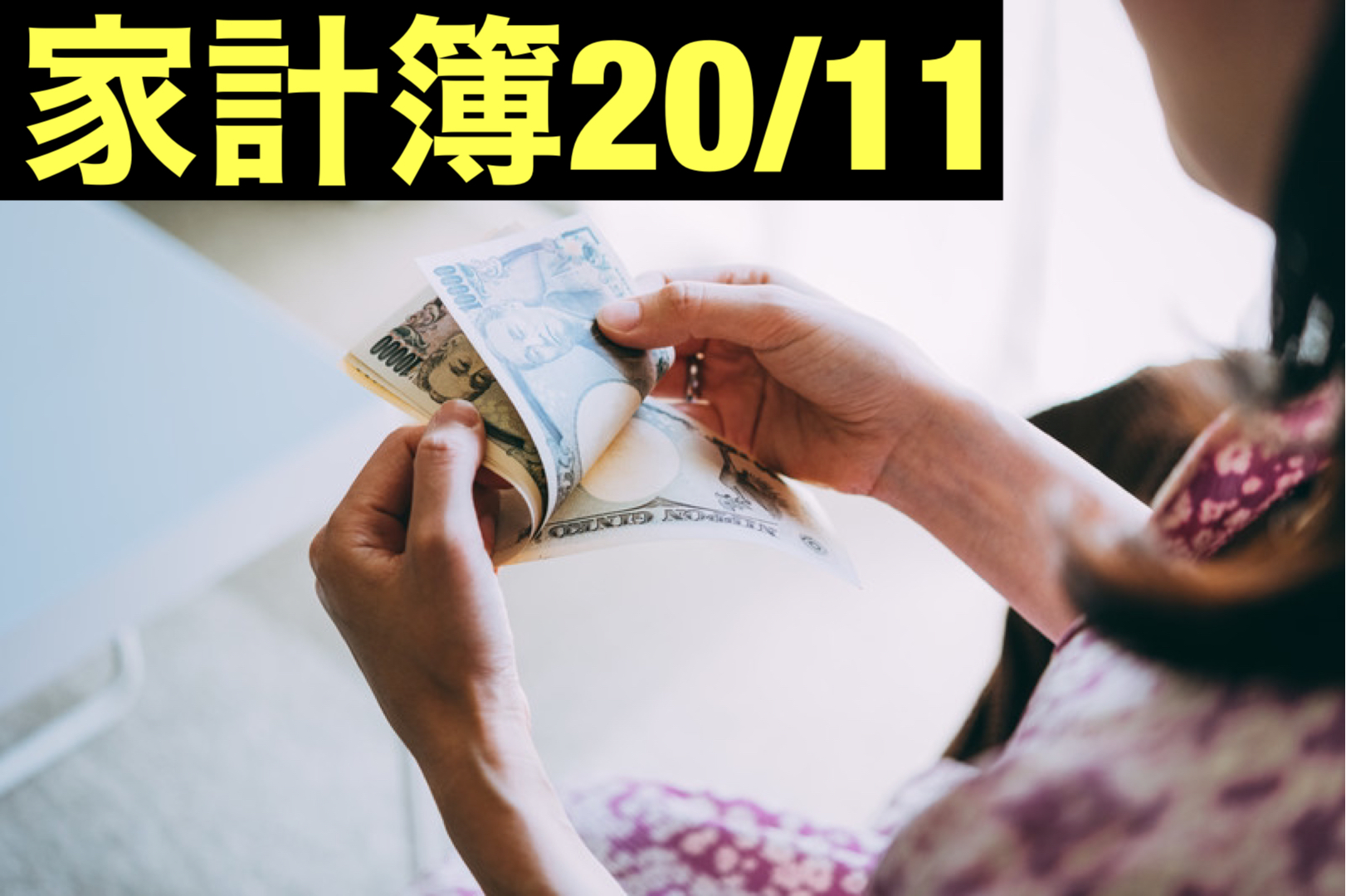 【30代】家計簿公開・20年11月【1人暮らし】